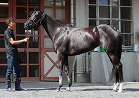 �F������C���^�r���[�ʐ^5