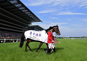 �F������C���^�r���[�ʐ^6