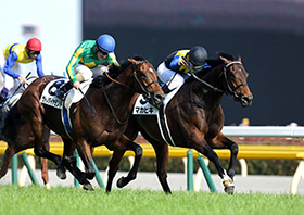 �F������C���^�r���[�ʐ^7