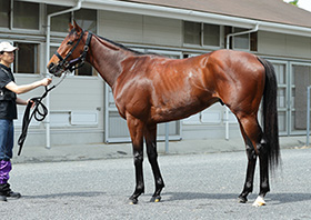 �F������C���^�r���[�ʐ^8