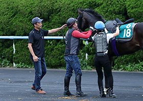 �F������C���^�r���[�ʐ^10